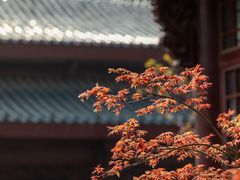 -堤角公园
