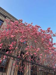 -北京大学第一医院妇产儿童医院