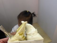 -野人先生现做冰淇淋(北京环宇荟店)