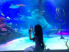 -沈阳海洋探索中心