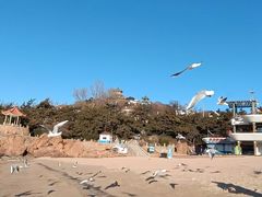 -青岛第三海水浴场