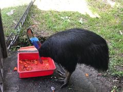 -吉隆坡雀鸟公园
