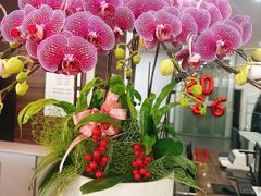 -杭州中升之星奔驰4S店(滨江店)