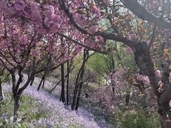 -横山寺