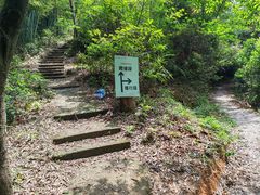 -广州市帽峰山景区