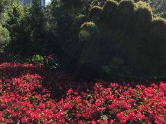-长白岛森林公园
