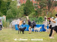 -趣玩宠物乐园寄养训犬训狗游泳池