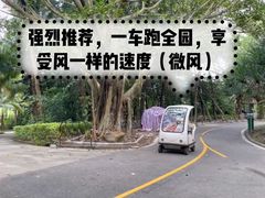 -广东茂名森林公园