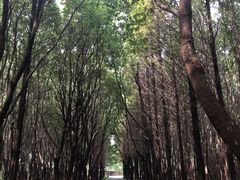 -同里国家湿地公园