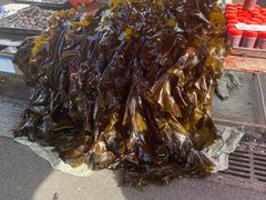 -重振华中蔬菜批发市场(重庆中路店)