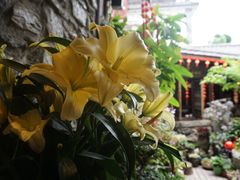 -尽善百年古院餐厅(王家老宅店)