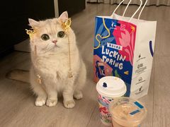 -哆趣宠物医院·眼科·内镜·急重症转诊中心(上海店)
