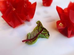 -柿合缘新京菜(国金中心商场店)