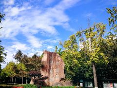 -苏州河梦清园环保主题公园