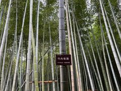 -陶祖圣境风景区
