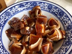 -食家鸽园