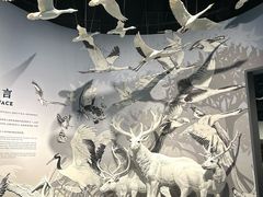 -中国湿地博物馆