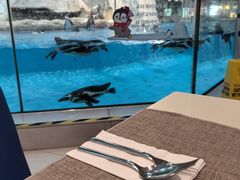 -帝企鹅自助餐厅•儿童岛•真企鹅(长隆企鹅酒店)