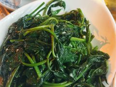 清炒豌豆尖-明婷饭店(外曹家巷店)