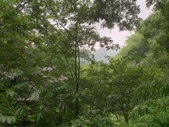 -藏龙百瀑风景区