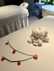 -VELEE·SPA高定疗愈会所