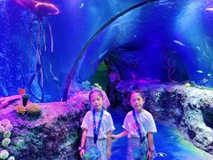 -沈阳海洋探索中心