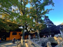 -西园戒幢律寺