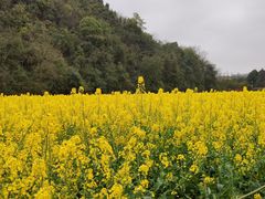 -贵阳市花溪国家城市湿地公园