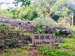 -海口火山口国家地质公园