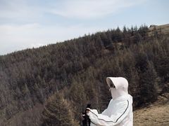 -灵山