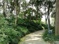 -成都市活水公园