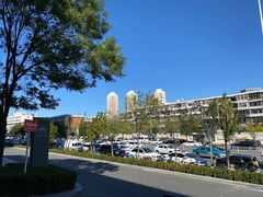 -云海肴汽锅鸡·云南小炒(天津国金汇店)