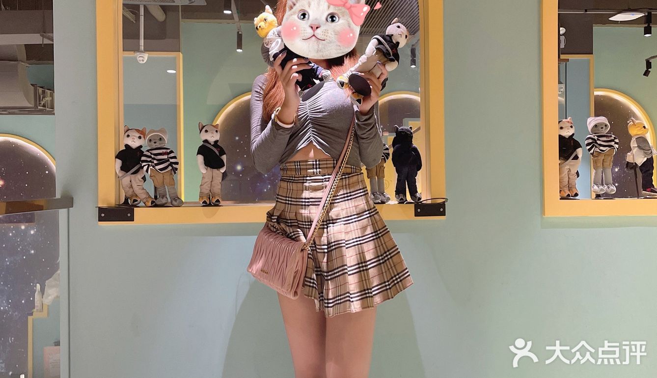 探店丨猫先生之家·猫舍