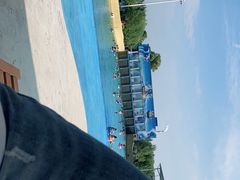 -海盗传奇水世界