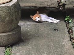 -临江宴餐厅·桐庐菜(富春江店)