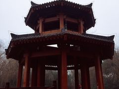 景点-西安市长乐公园