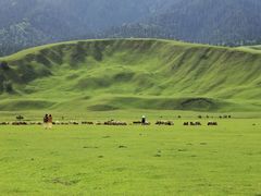 -新疆那拉提国家旅游度假区
