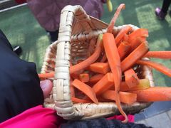 -万源龙顺度假庄园生态观光园