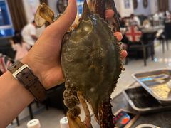 -四海蒸鲜蒸汽海鲜自助(北戴河店)