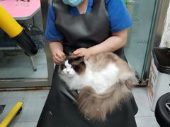 -宠福鑫康馨动物医院·骨科·眼科