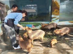 -大连森林动物园