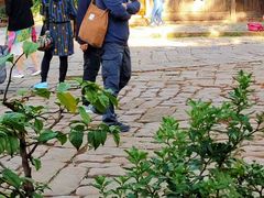 -兴教寺
