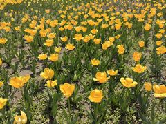 -长春公园(普阳街道)