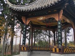 -梅园