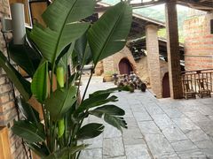 -远山有窑