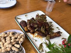 -阿巧茶庄