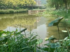 -厦门国家会计学院