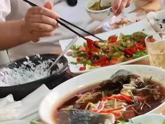 -煲来饱去冷水鱼