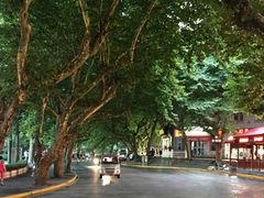 -庐山风景区花径公园
