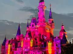 -上海迪士尼度假区